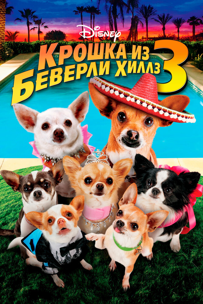 Крошка из Беверли-Хиллз 3 (2012) постер