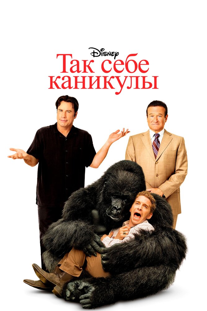 Так себе каникулы (2009) постер